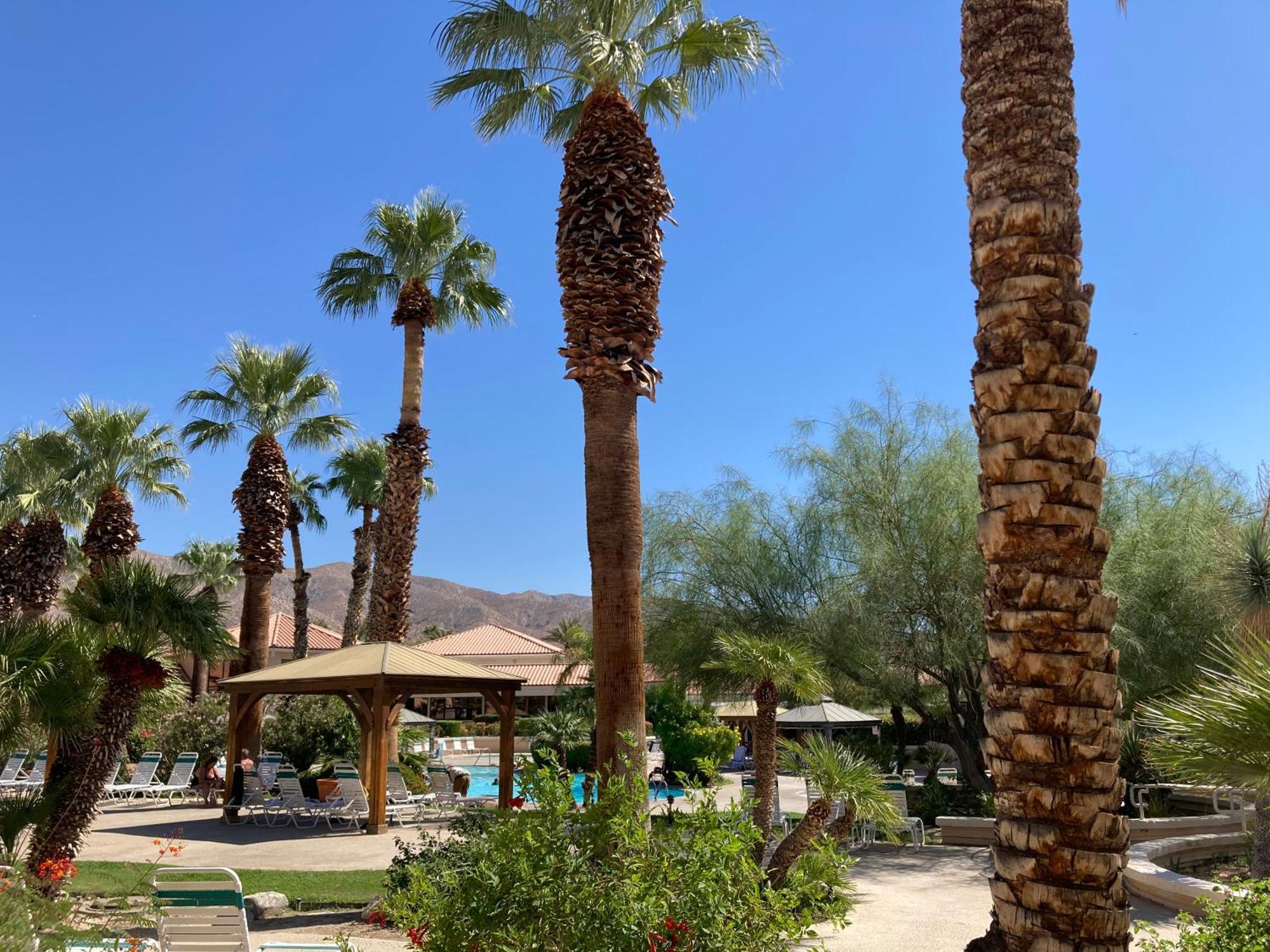 Miracle Springs Resort And Spa Desert Hot Springs Exterior foto